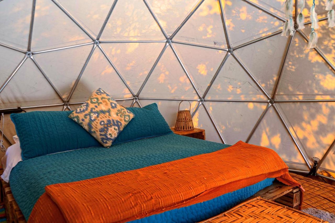 Alma De Campo Glamping - Laguna De Suesca Dış mekan fotoğraf