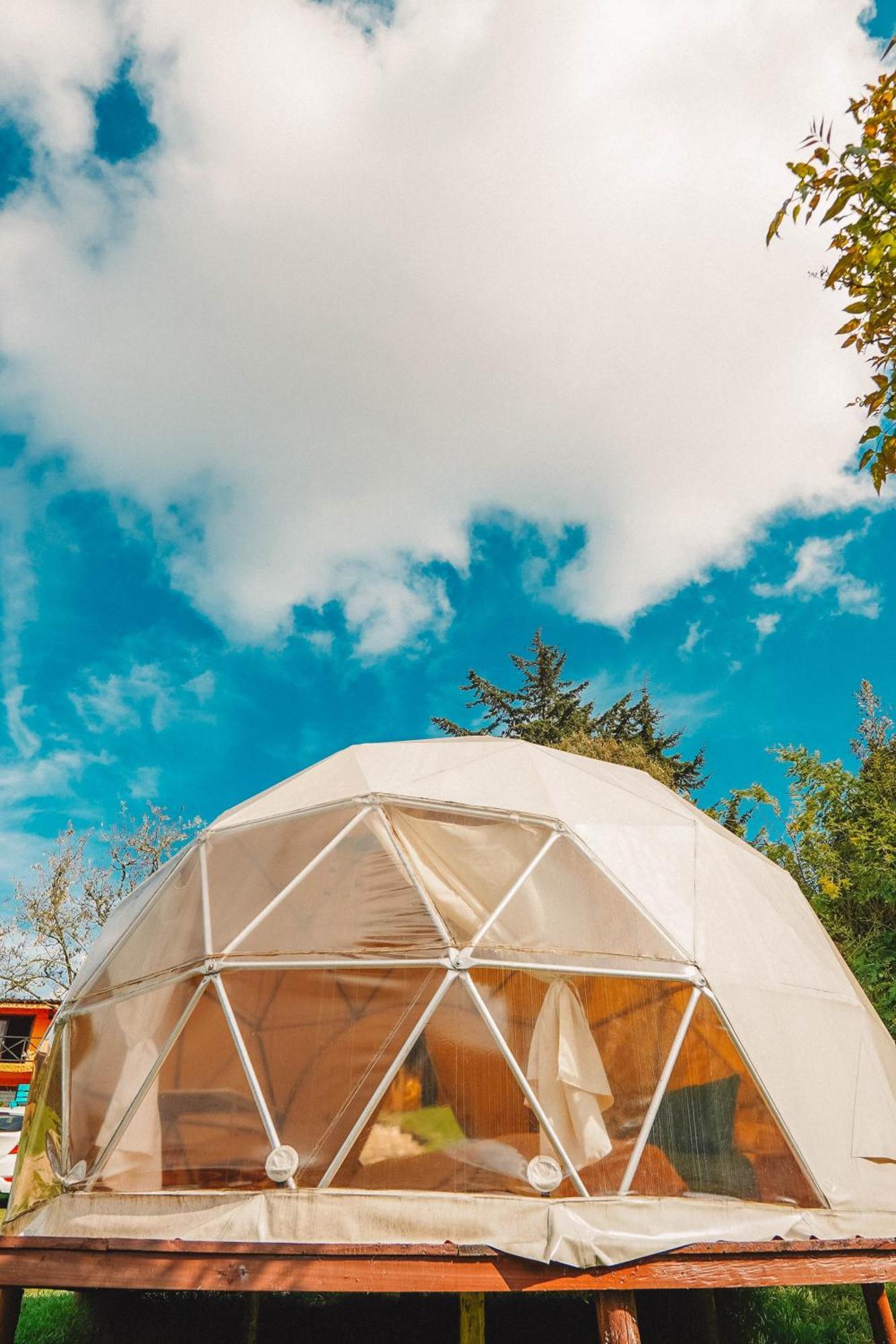 Alma De Campo Glamping - Laguna De Suesca Dış mekan fotoğraf