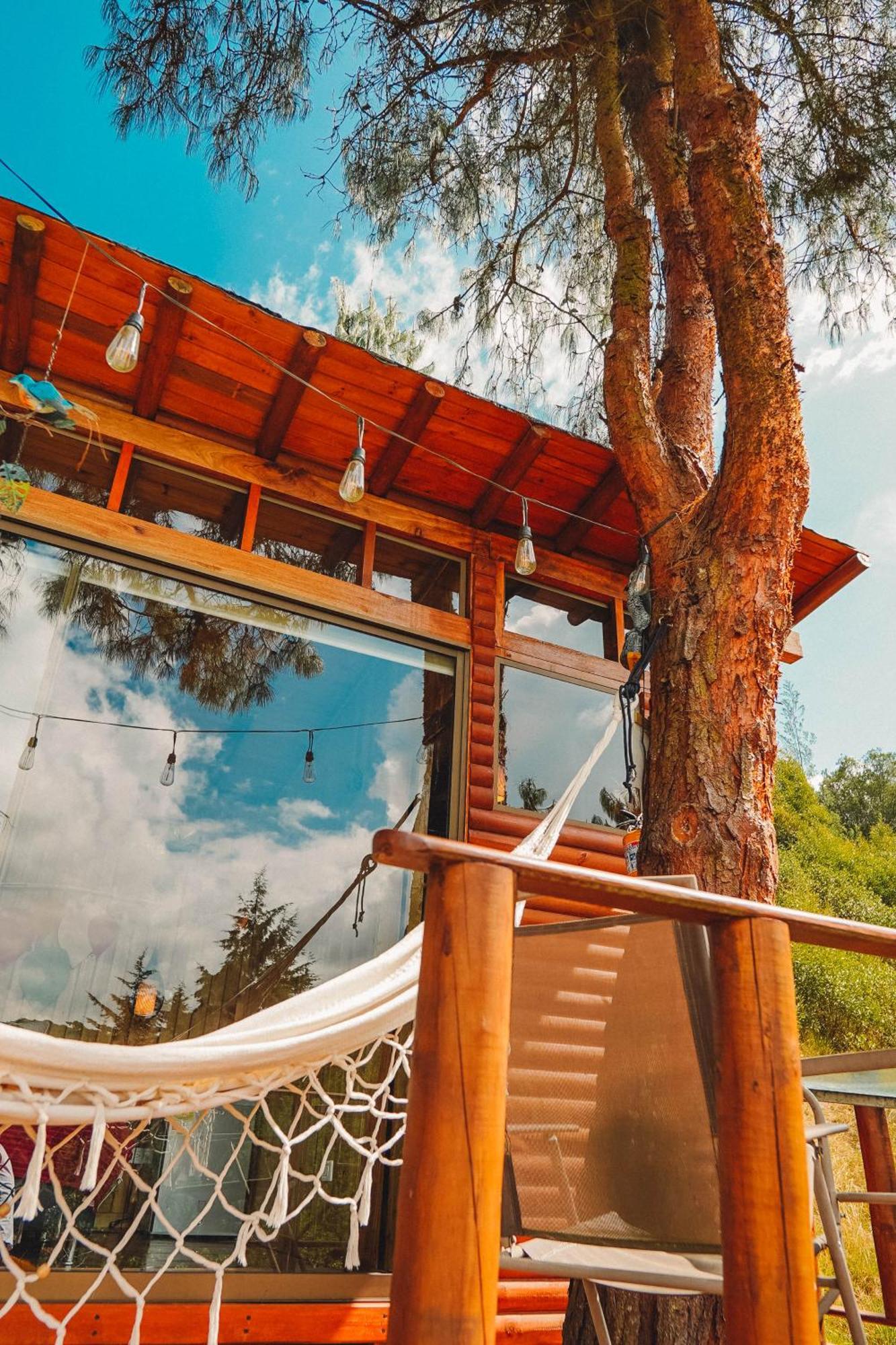 Alma De Campo Glamping - Laguna De Suesca Dış mekan fotoğraf